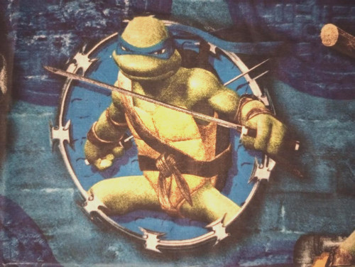 Teenage mutant ninja turtles - teenage,