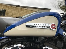 Genuine Harley Davidson Sportster Tank 04 - 06 Custom Paint Job