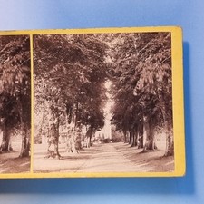 Stereoview Card 3D Real Photo