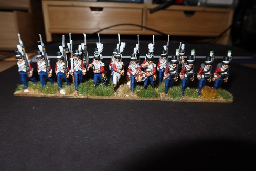 Perry 28mm pro painted - perry,