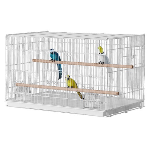 Uimoso bird flight - bird, in