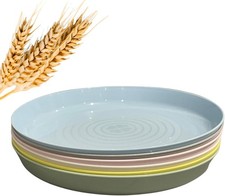 Plastic Plates Reusable Set of