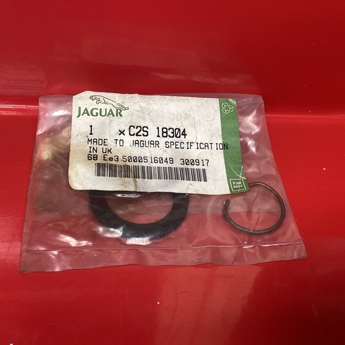 Genuine jaguar type - type, x400
