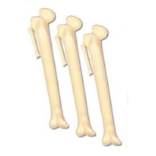 3 FUN NOVELTY BONE