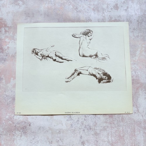 French vintage nude book - ,
