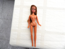 Vintage 1970’s Palitoy Pippa