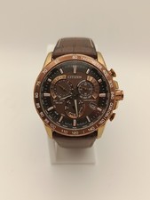 Citizen E660-S121191 Radio