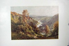 Original Old Antique Print