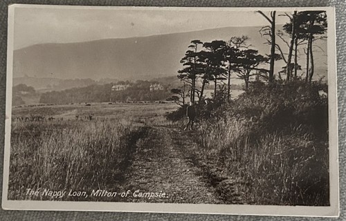 Milton campsie - milton, of