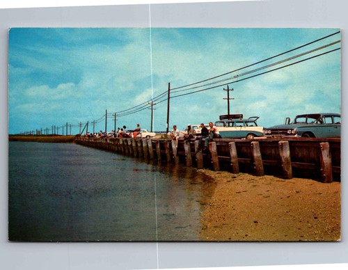 Postcard fishing off the sea - postcard,