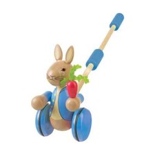 Peter Rabbit™ Boxed Push