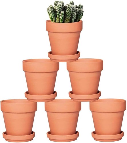 Pack terra cotta - 6,
