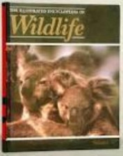 Orbis: The Illustrated