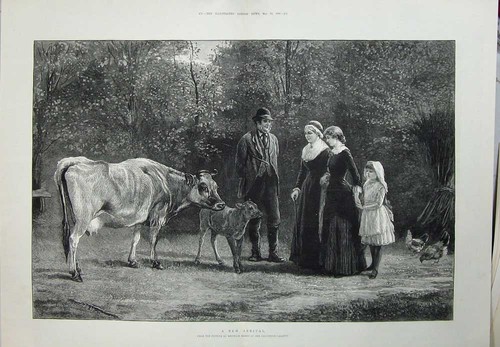 Old antique print 1883 - print,