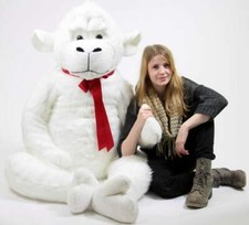 American Made White 6 Foot