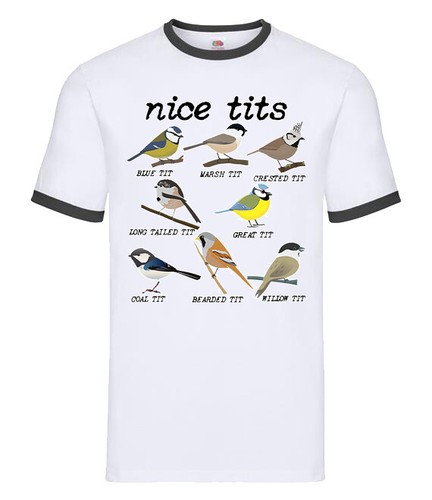 Nice tit funny - funny, birds