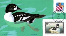 #RW65 Barrow's Goldeneye