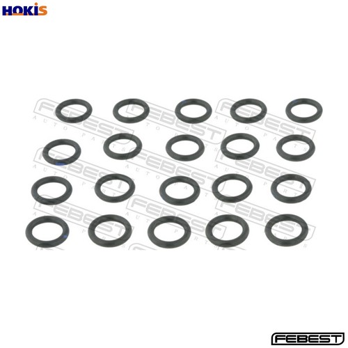 Seal ring injector - seal,