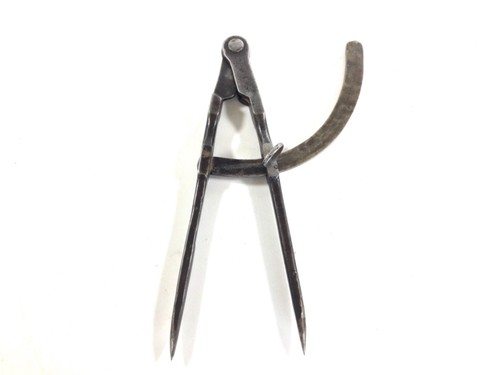 Early square leg - early, 10"
