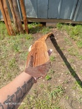 Osage Orange Bow Stave