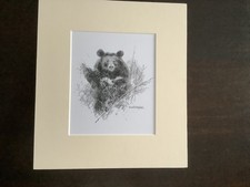 David Shepherd Small Signed Print Moon Bear