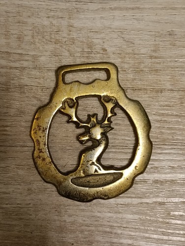 Large selection horse brass - large, of