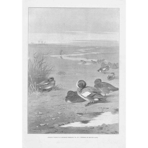 Wild fowl the - on, by