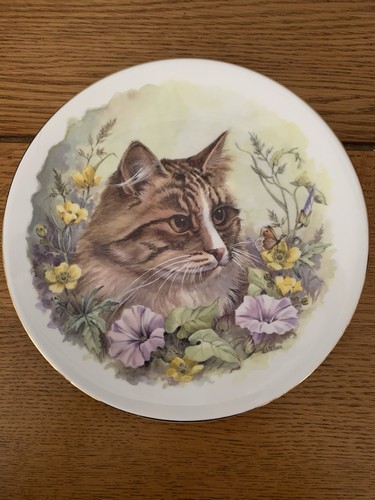 Dams co bone china - c.j.dams.,