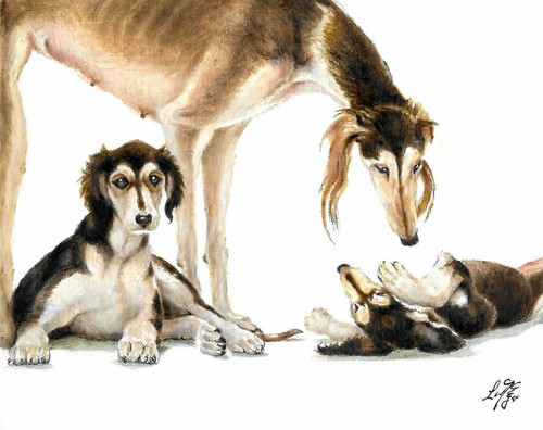 Original oil puppy - ❈, dog