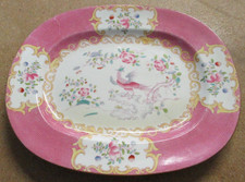 RARE Minton Pink Cockatrice