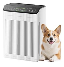 EVALIT Air Purifier for