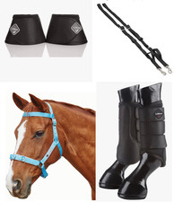 Lunge equipment: brushing &