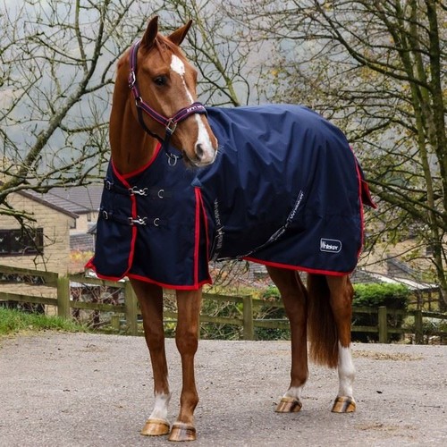 John whitaker rastrick - whitaker, 100g