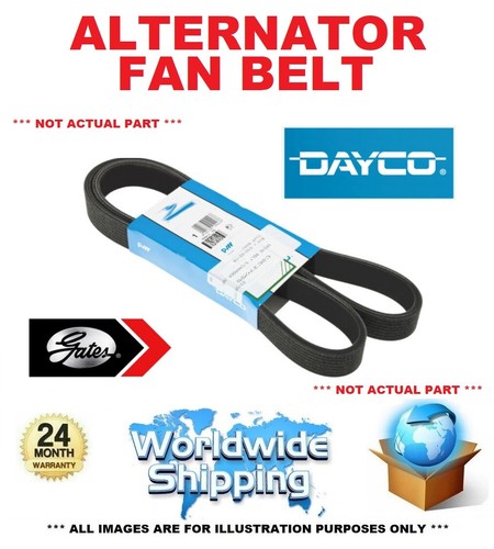 Alternator fan belt ribbed - alternator,