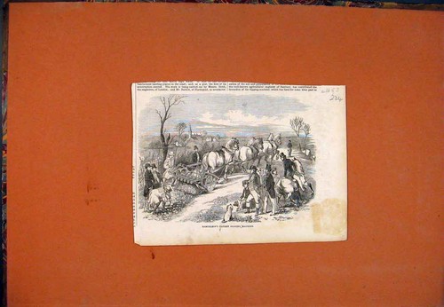 Original old antique print - original,
