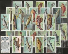 CHURCHMAN-FULL SET- FISHES OF
