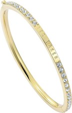 Ted Baker Claudia Narrow Crystal Hinged Bangle Bracelet for Women