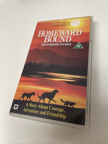 Homeward bound the incredible - homeward,