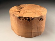 Large Hollow Form Burr Elm