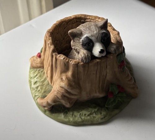 Woodland surprises raccoon - raccoon,
