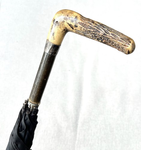 Vintage antique antler stag - vintage,