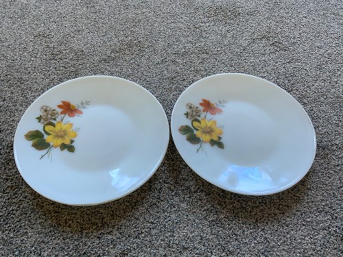 Jaj pyrex autumn glory - pyrex,
