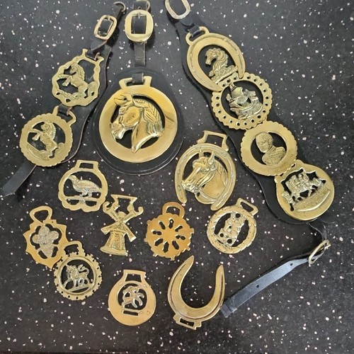 Assorted brass horse brasses - brass,