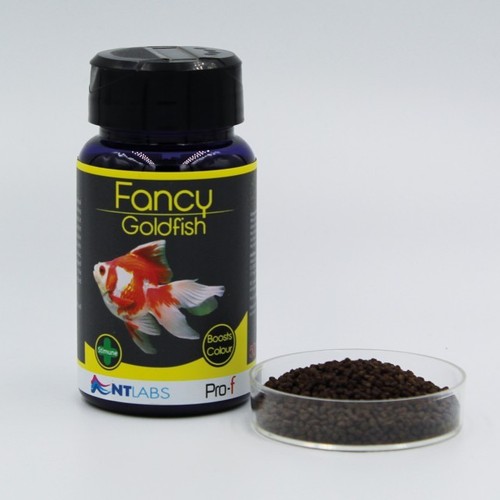Labs pro fancy - nt,