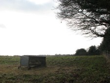 Photo 6x4 Empty sheep pasture