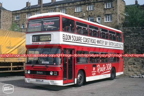 Bus photo ahead northern - go,
