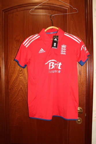 2012 2013 england team cricket - 2012-2013,