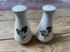 Denby salt pepper pots - salt,