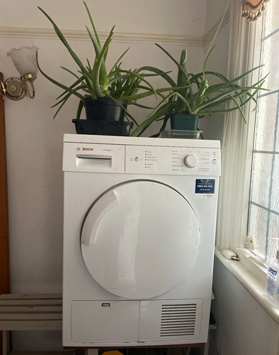 Bosch classixx white - bosch,