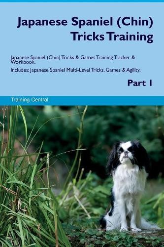 Japanese spaniel tricks - japanese,
